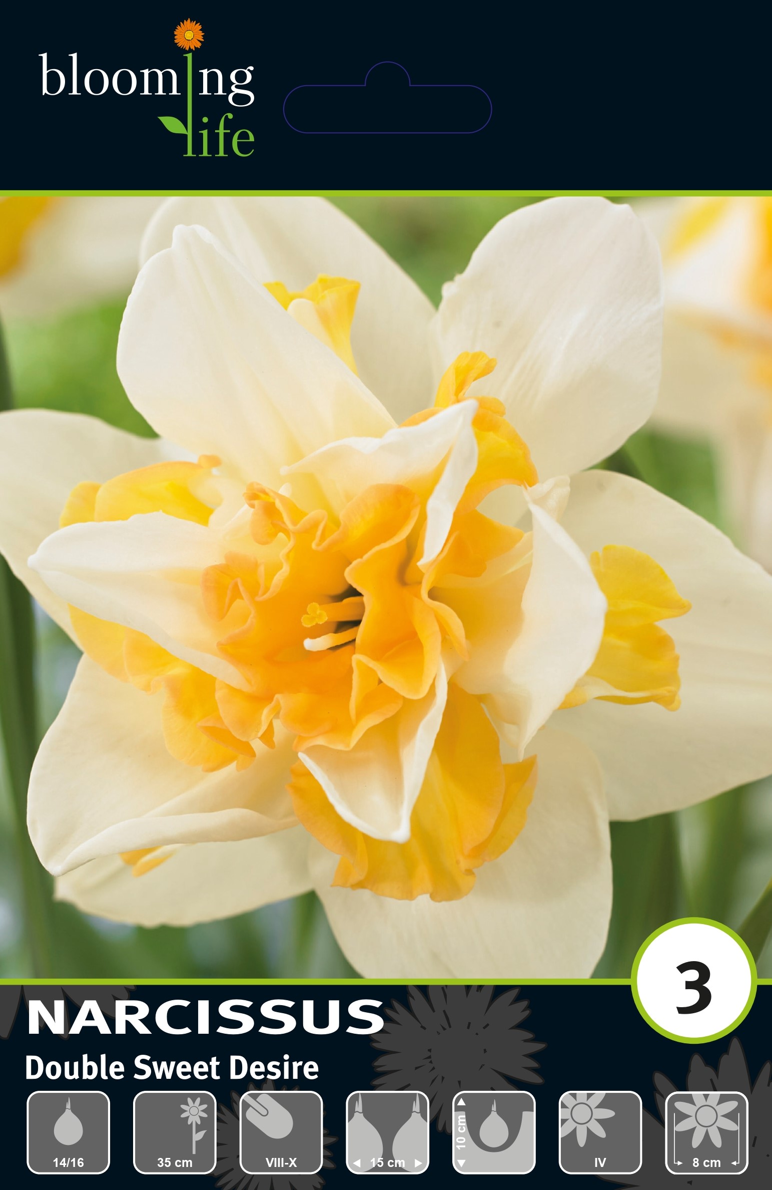 Нарцисс махровый Свит Дезир